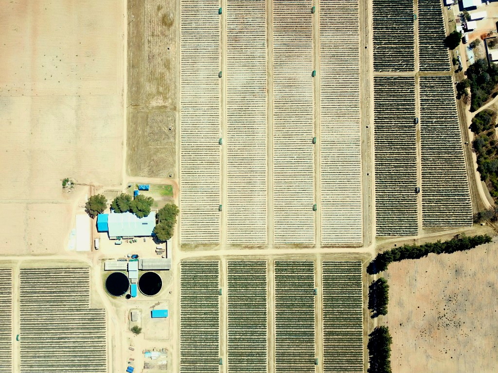 Luchtfoto van een kwekerij met velden zomerbloemen